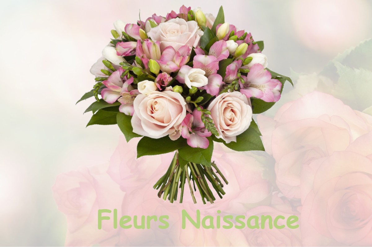 fleurs naissance BRAY-EN-VAL