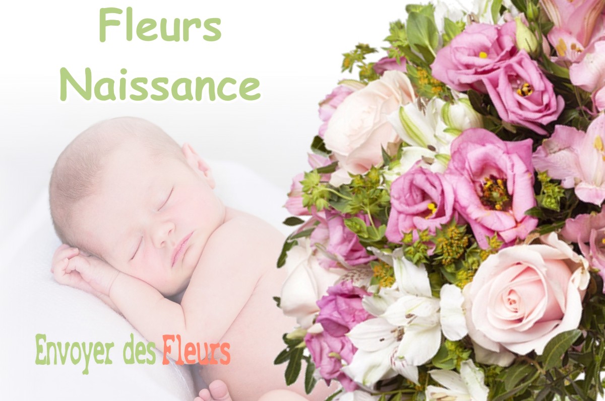 lIVRAISON FLEURS NAISSANCE à BRAY-EN-VAL